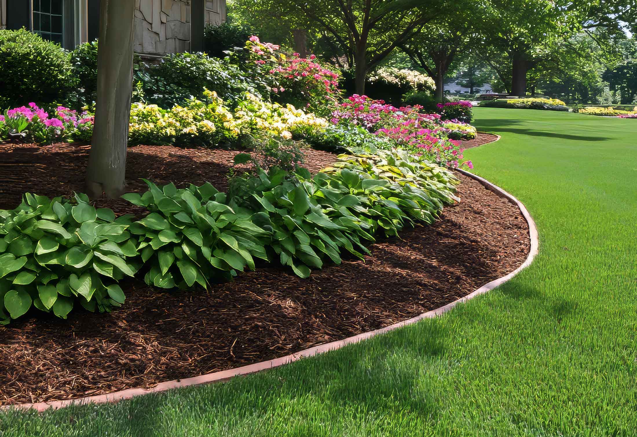 service single images