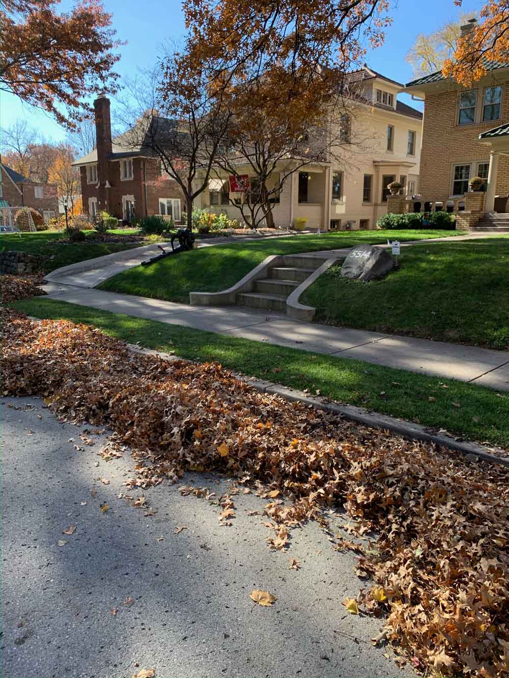 service single images